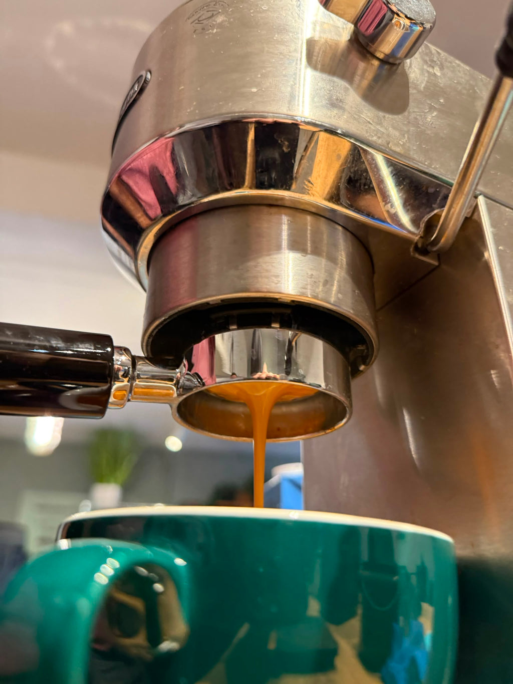 DeLonghi Dedica Workshop