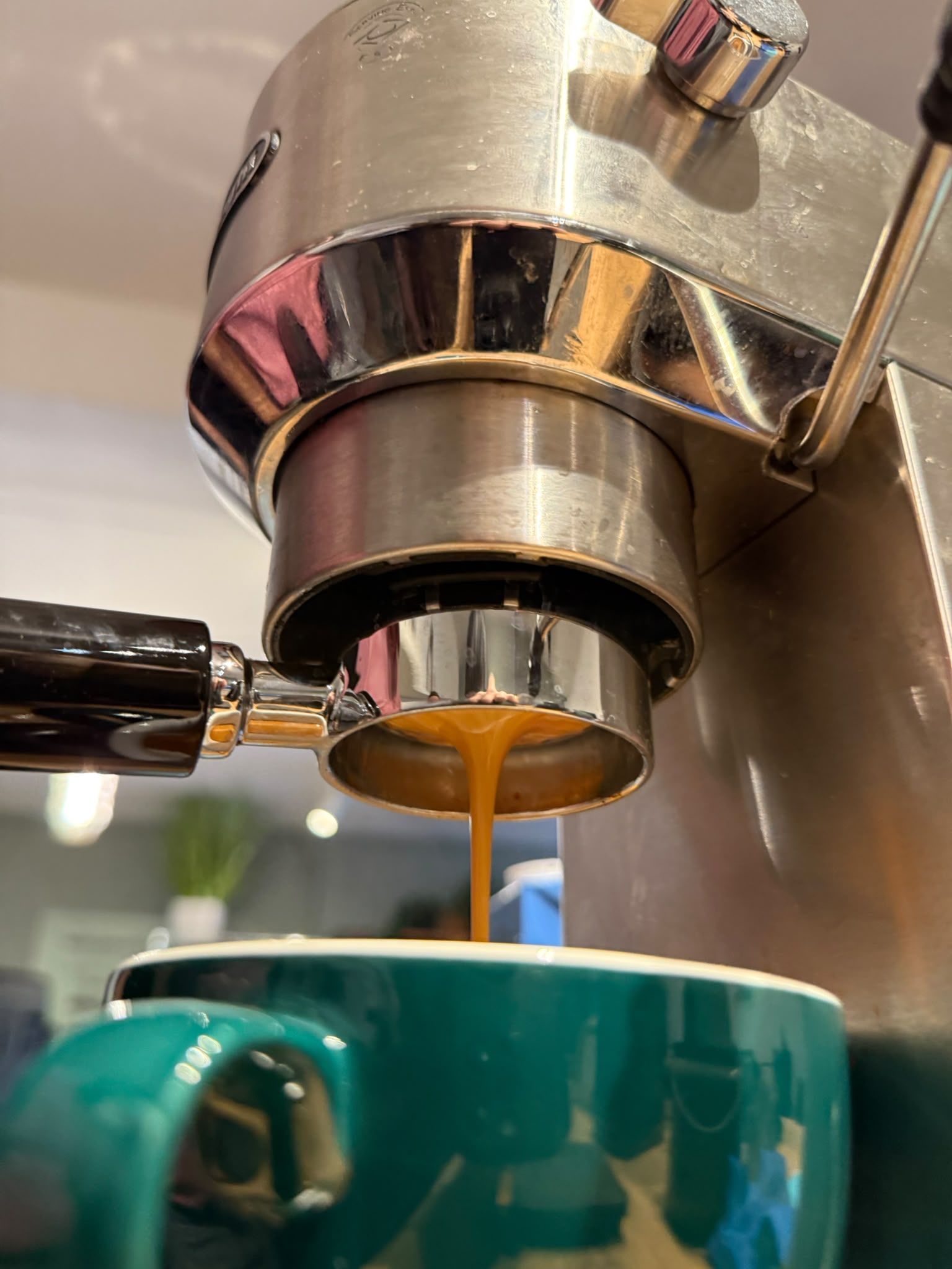 DeLonghi Dedica Workshop